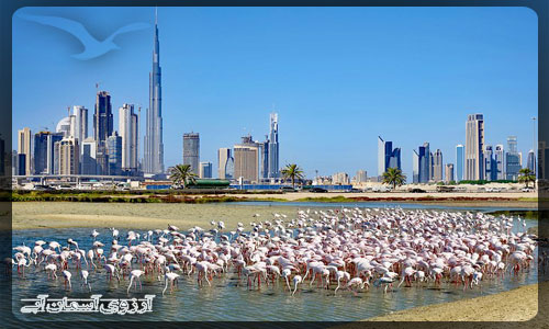 پناهگاه حیات وحش راس الخور دبی